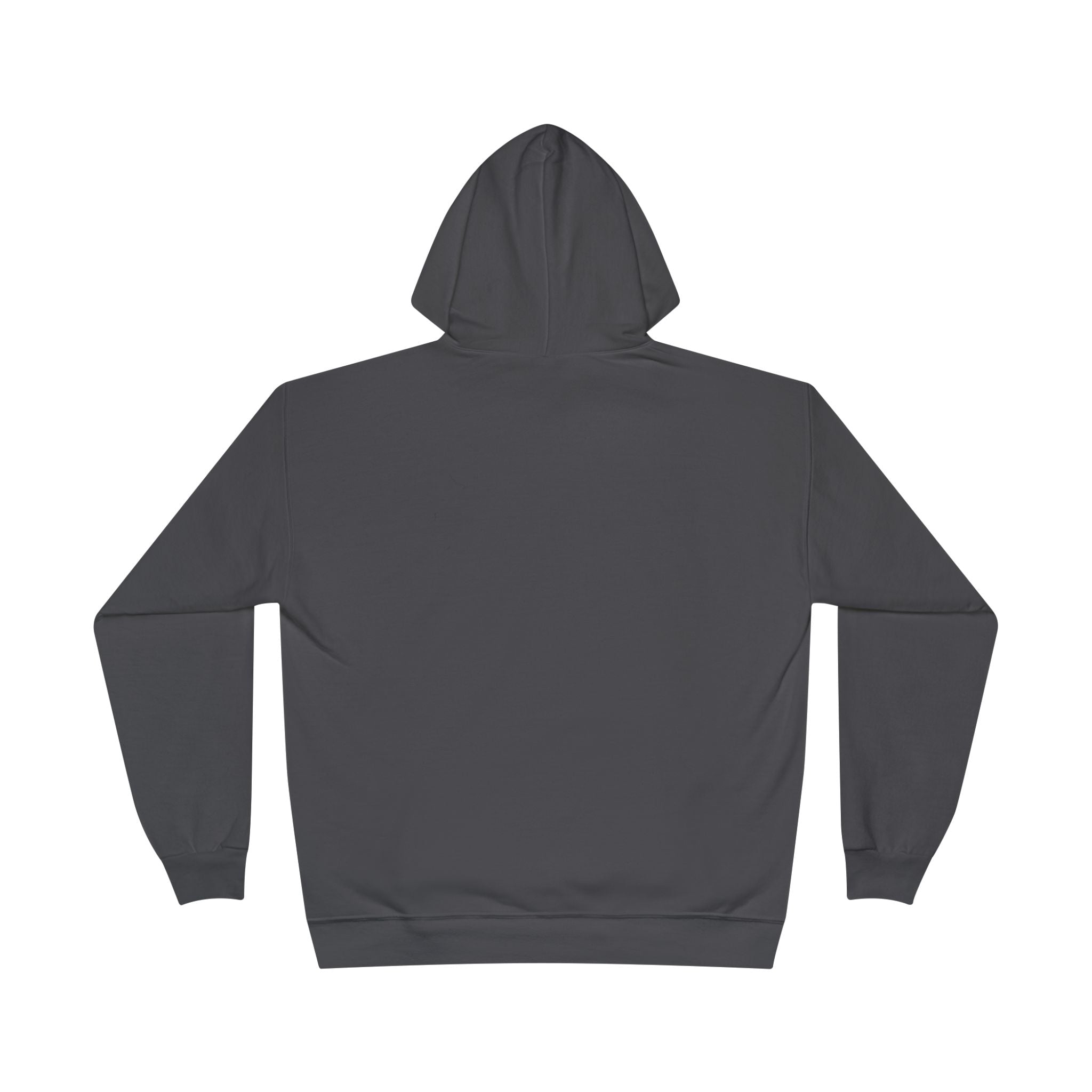 I Am Not A Reptilian Shape Shifter Hoodie – Statement Graphic Pullover