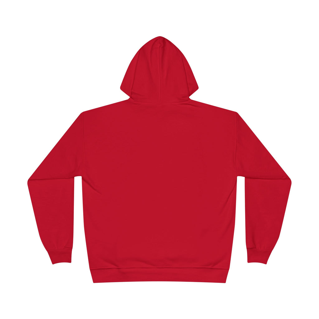 I Am Not A Reptilian Shape Shifter Hoodie – Statement Graphic Pullover