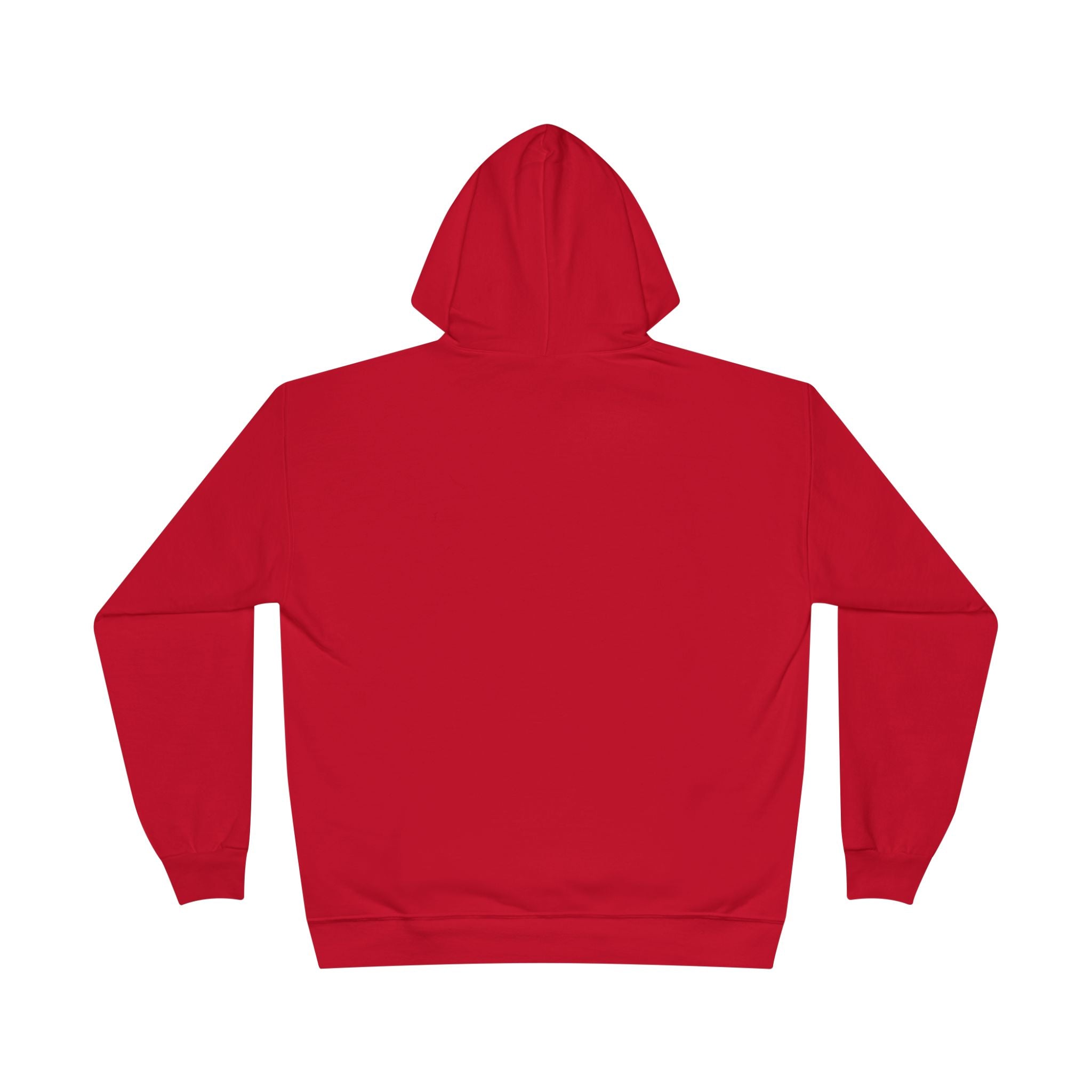 I Am Not A Reptilian Shape Shifter Hoodie – Statement Graphic Pullover