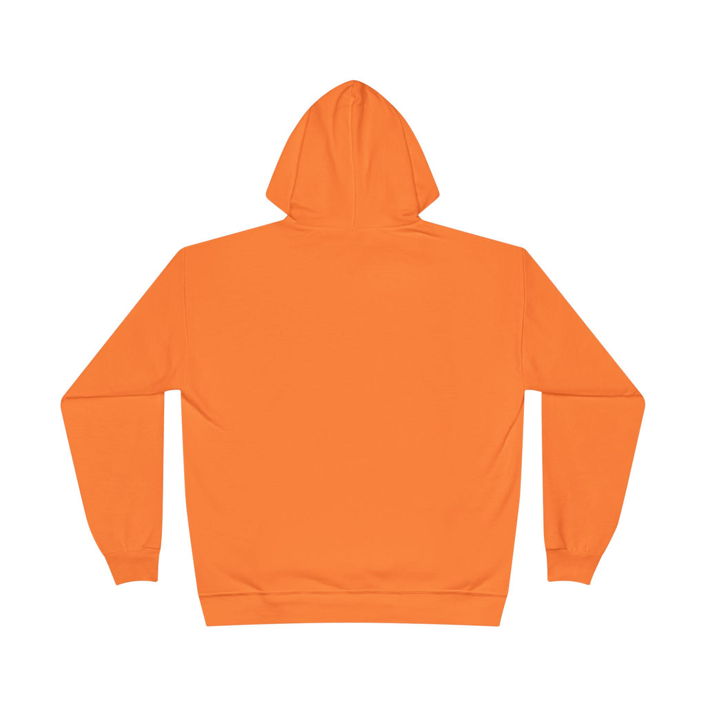 I Am Not A Reptilian Shape Shifter Hoodie – Statement Graphic Pullover