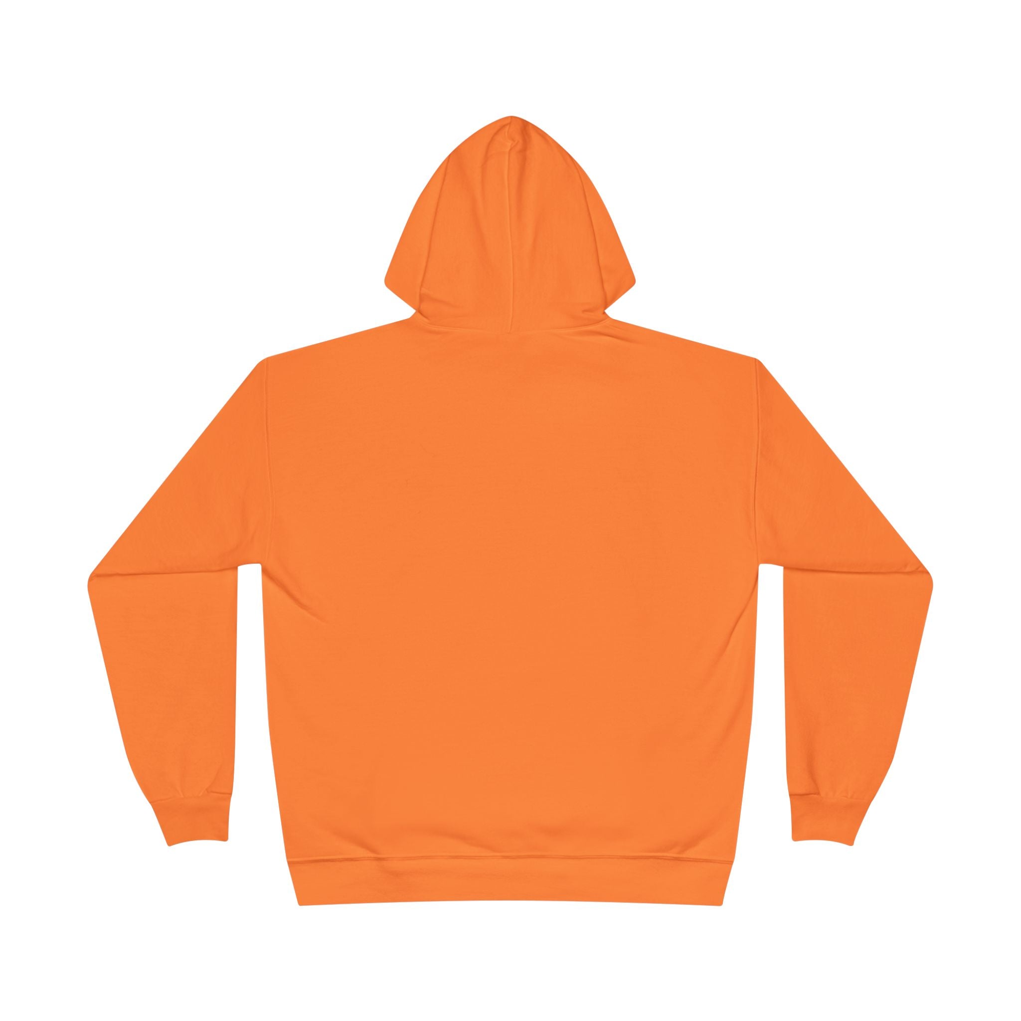 I Am Not A Reptilian Shape Shifter Hoodie – Statement Graphic Pullover