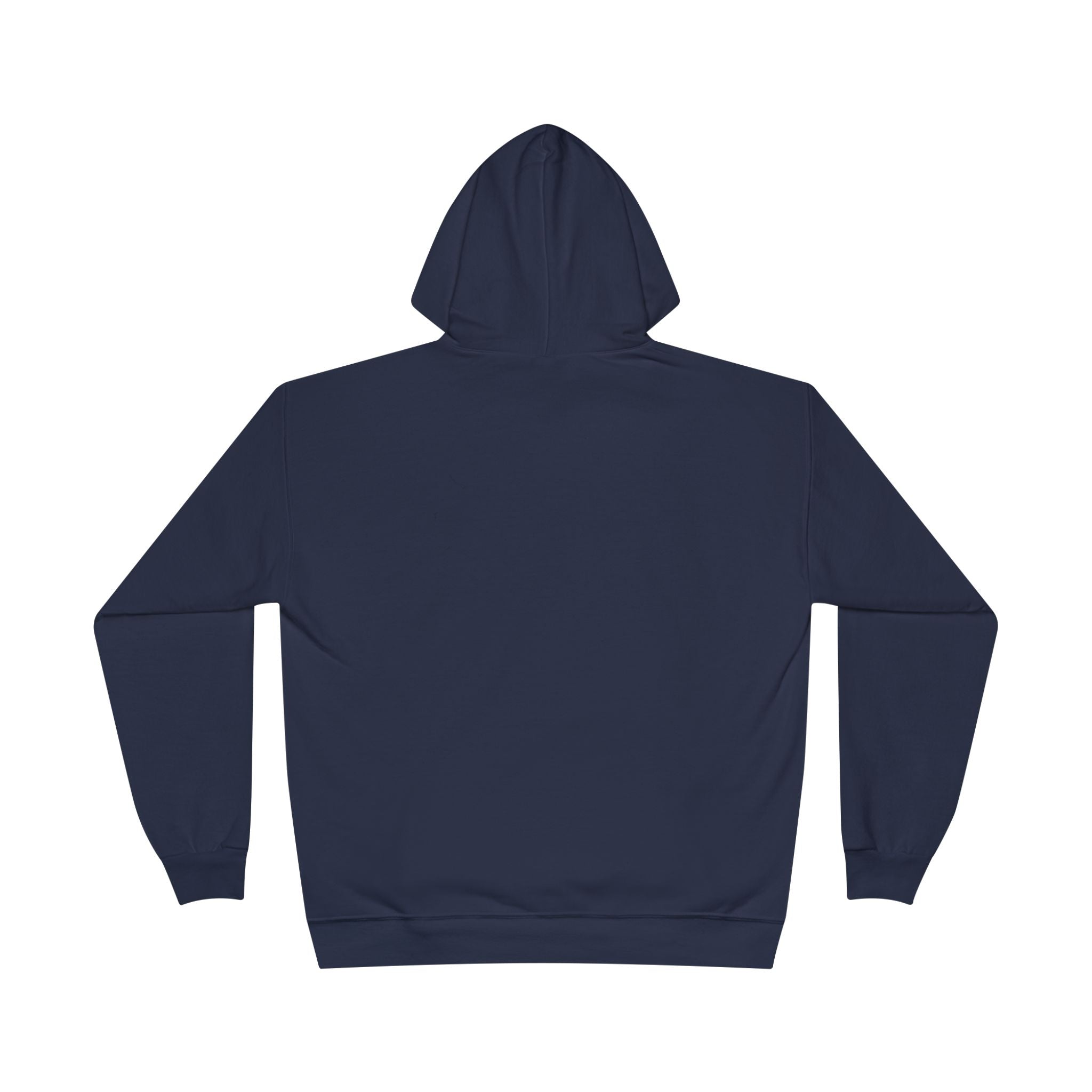 I Am Not A Reptilian Shape Shifter Hoodie – Statement Graphic Pullover