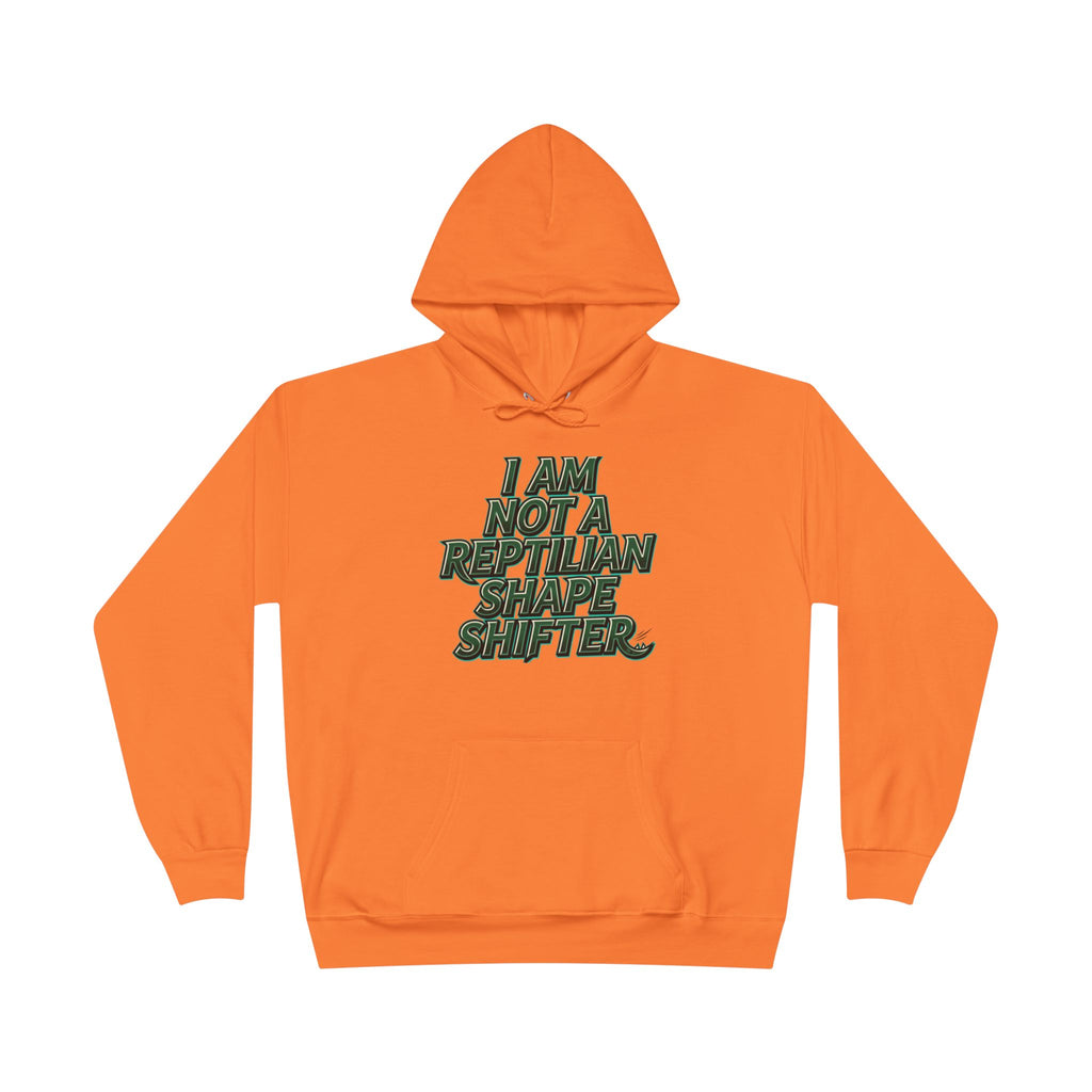 I Am Not A Reptilian Shape Shifter Hoodie – Statement Graphic Pullover