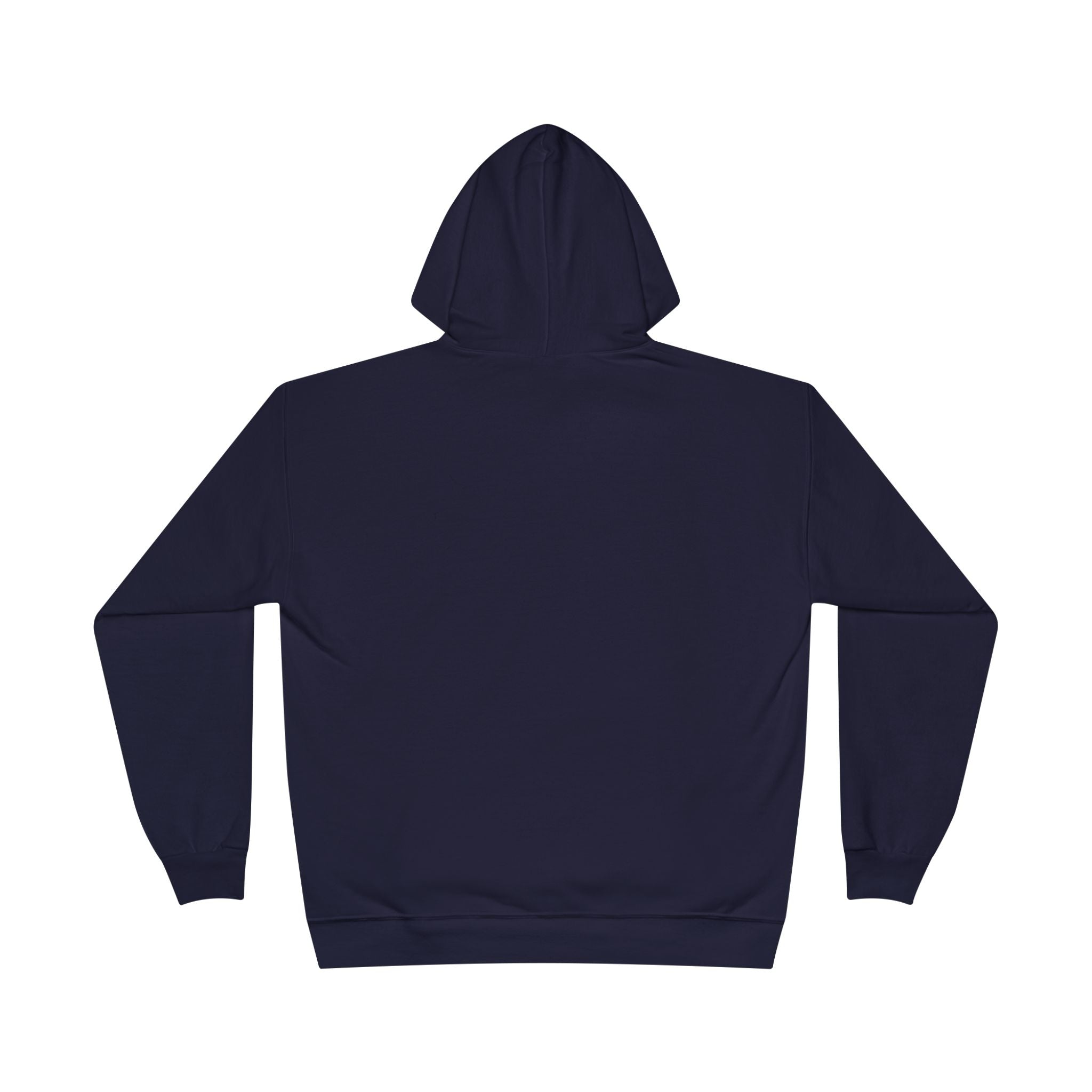 I Am Not A Reptilian Shape Shifter Hoodie – Statement Graphic Pullover