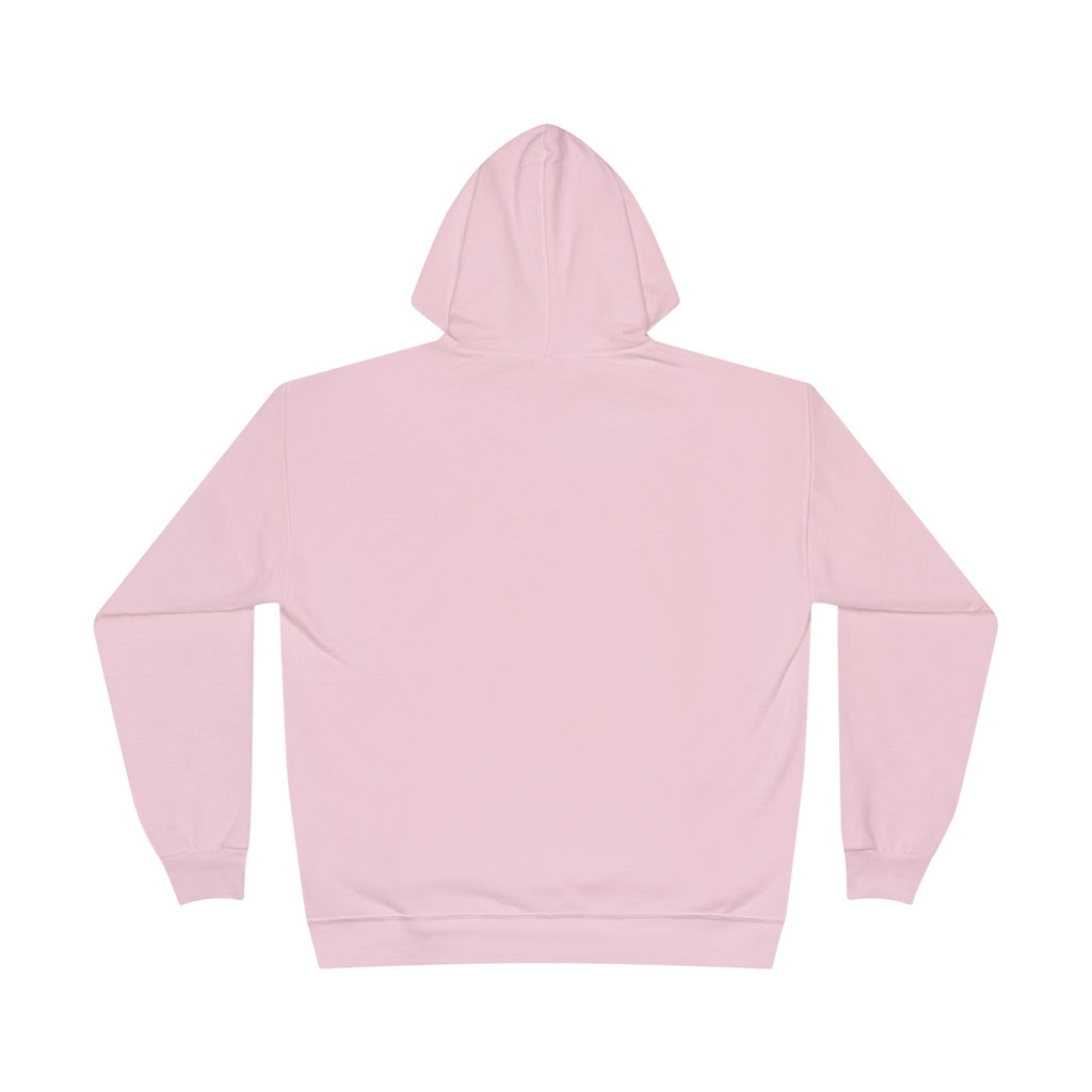 I Am Not A Reptilian Shape Shifter Hoodie – Statement Graphic Pullover