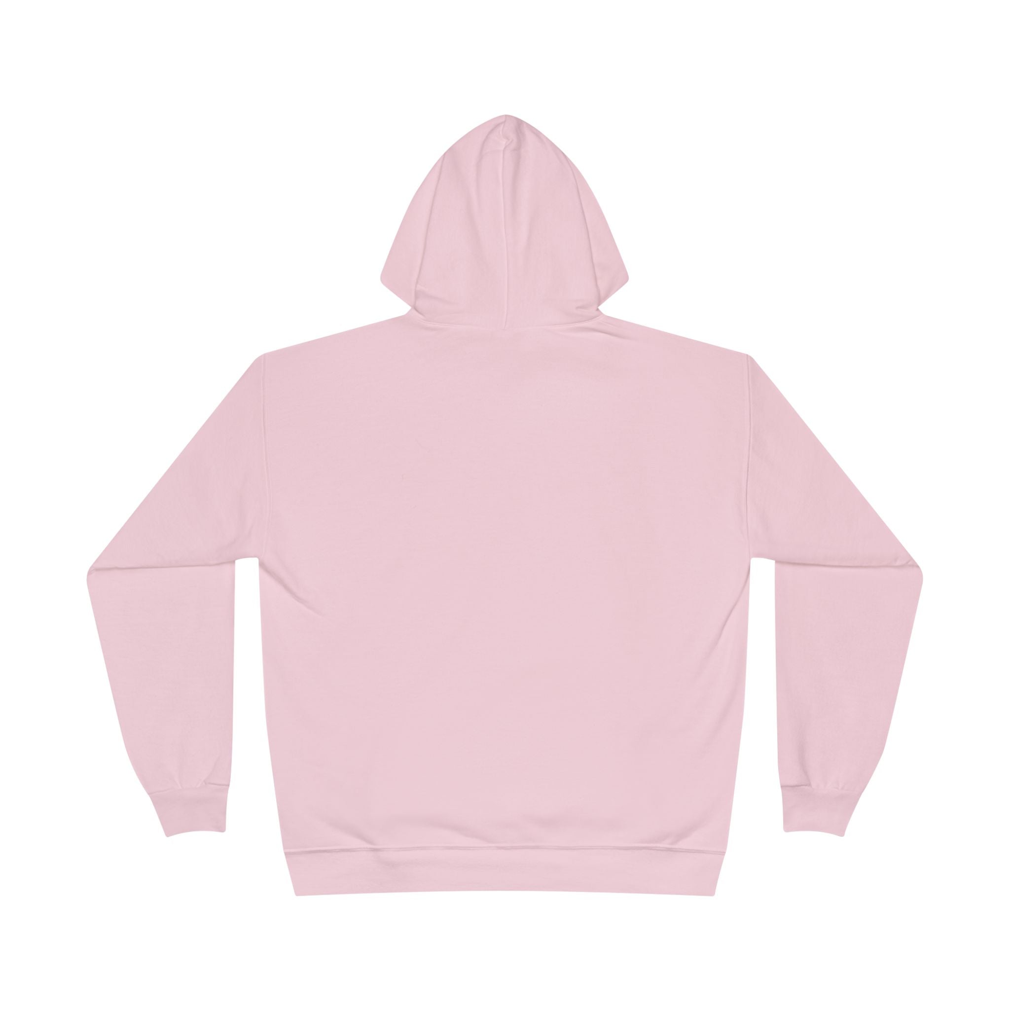 I Am Not A Reptilian Shape Shifter Hoodie – Statement Graphic Pullover