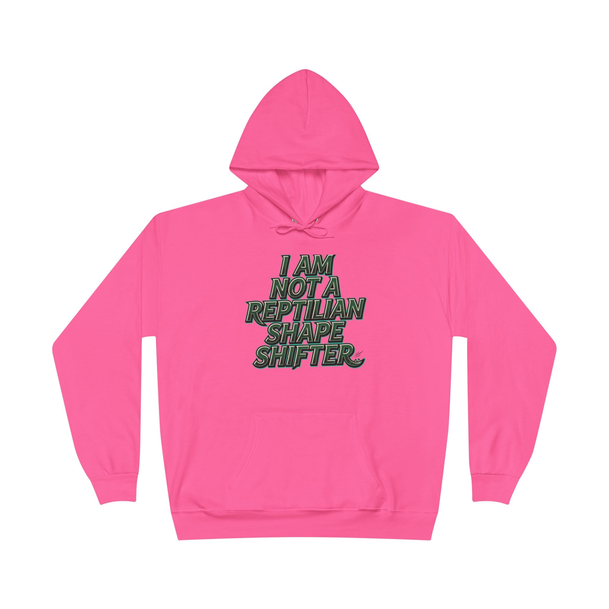 I Am Not A Reptilian Shape Shifter Hoodie – Statement Graphic Pullover