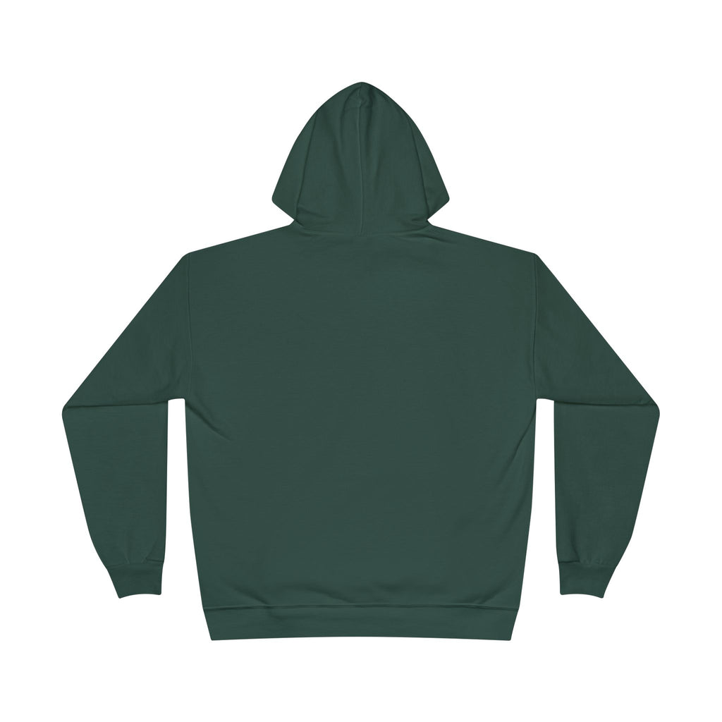 I Am Not A Reptilian Shape Shifter Hoodie – Statement Graphic Pullover