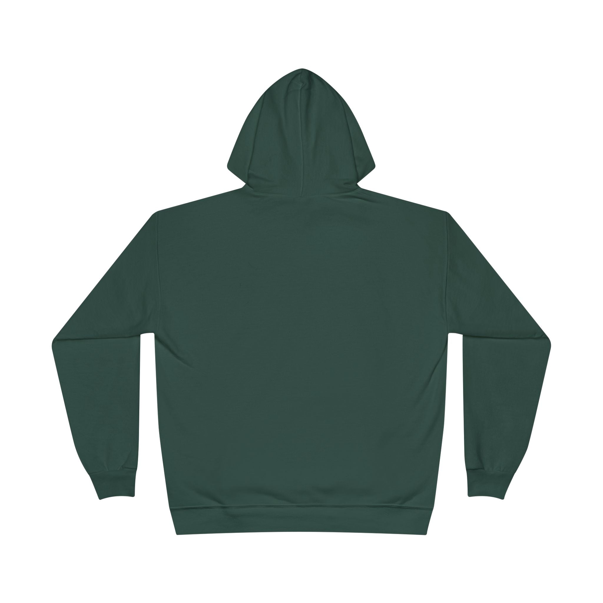 I Am Not A Reptilian Shape Shifter Hoodie – Statement Graphic Pullover