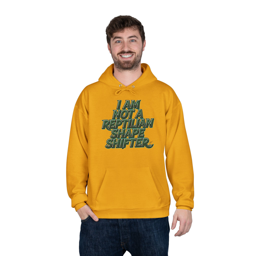 I Am Not A Reptilian Shape Shifter Hoodie – Statement Graphic Pullover