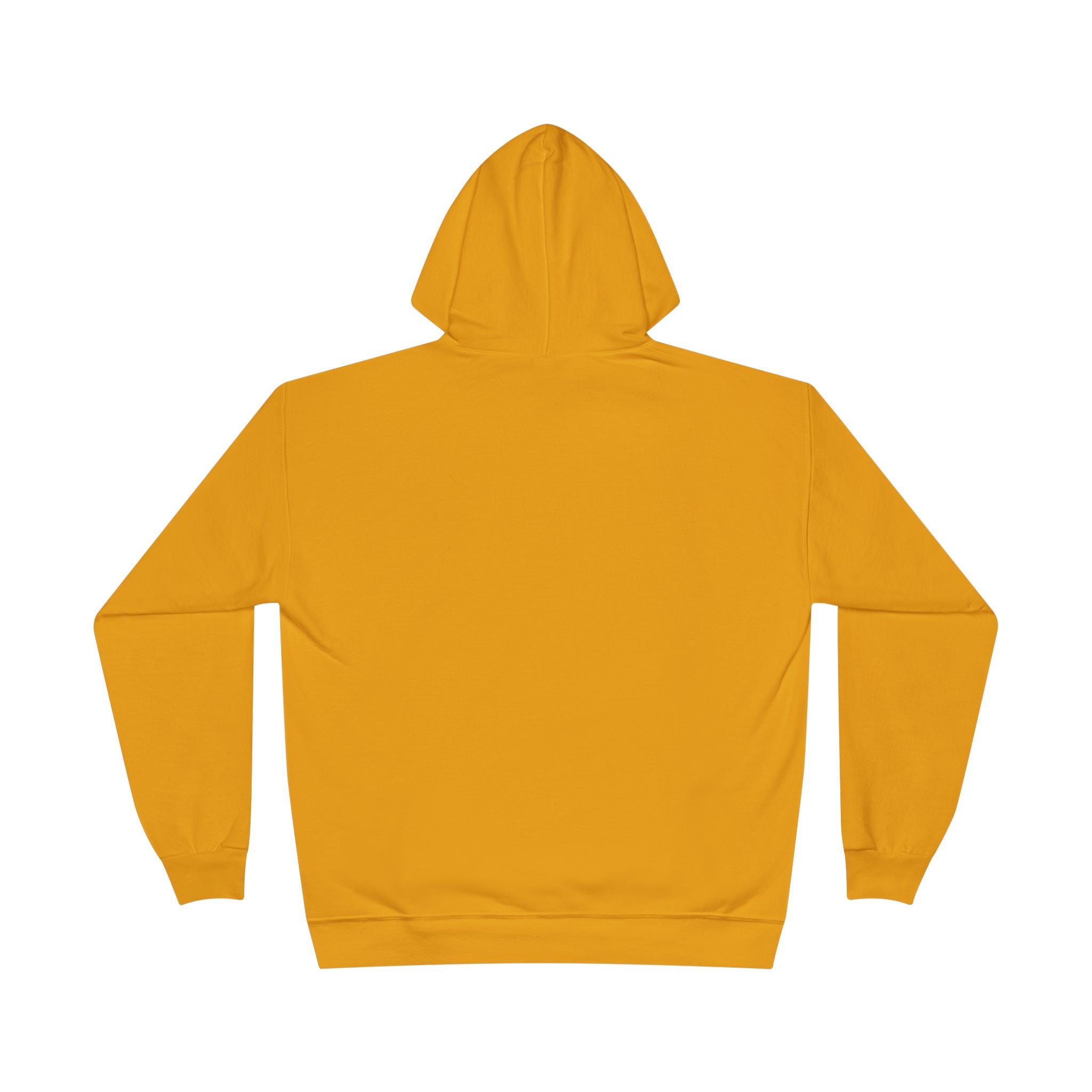 I Am Not A Reptilian Shape Shifter Hoodie – Statement Graphic Pullover