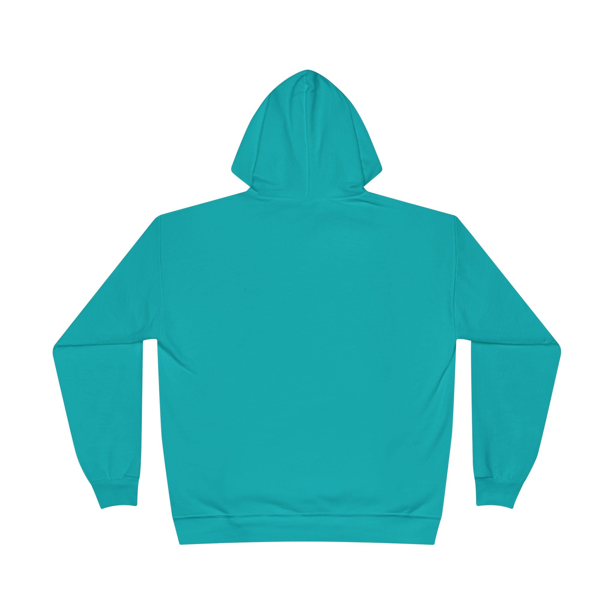 I Am Not A Reptilian Shape Shifter Hoodie – Statement Graphic Pullover