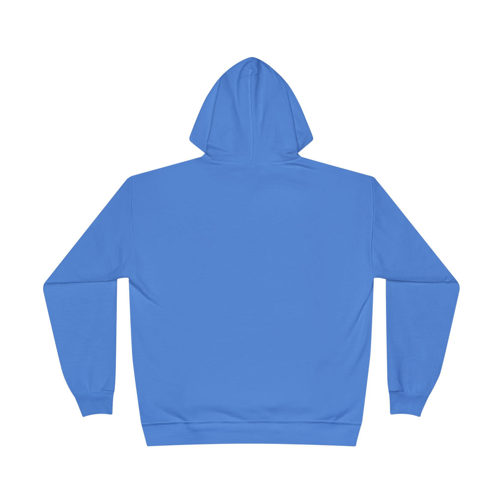 I Am Not A Reptilian Shape Shifter Hoodie – Statement Graphic Pullover