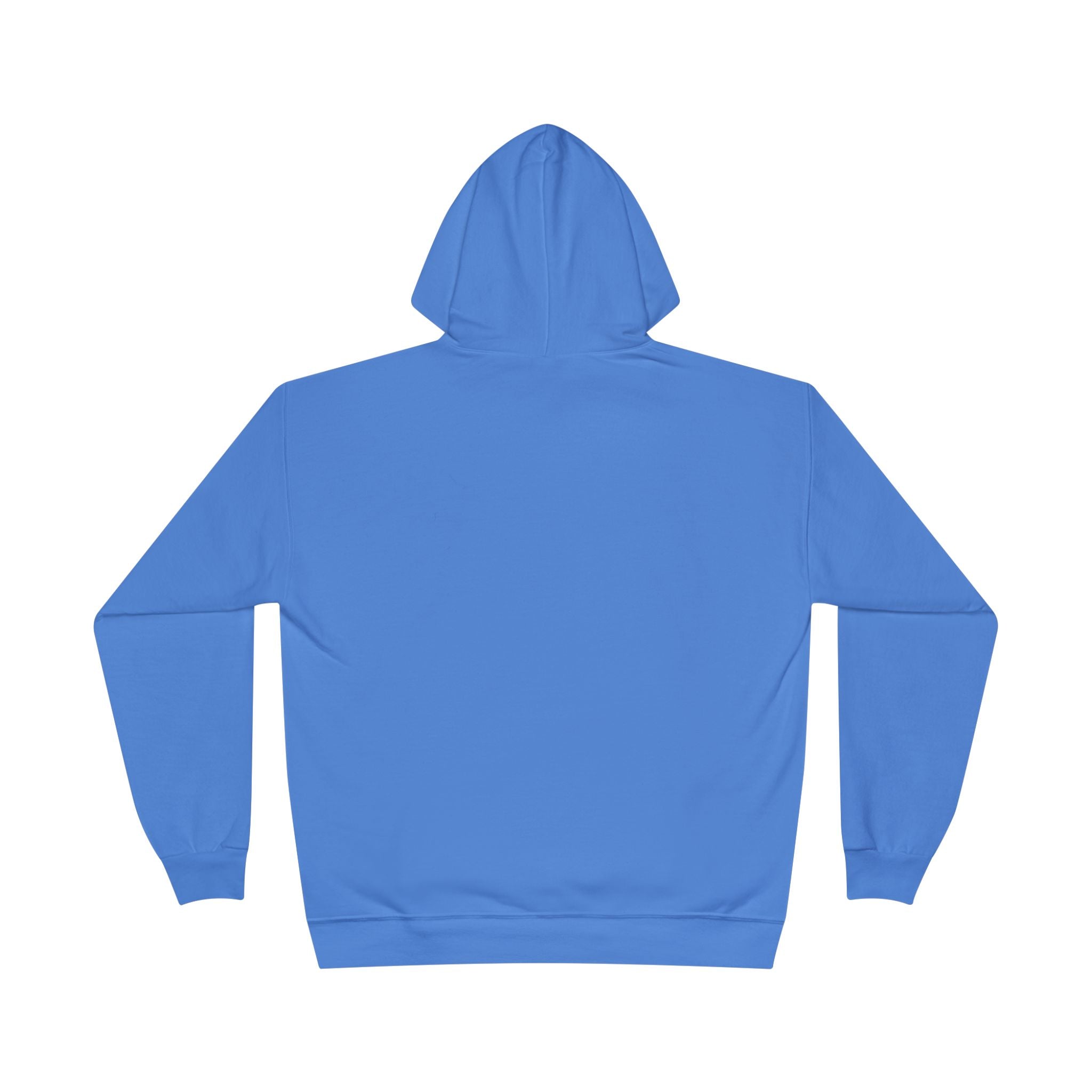 I Am Not A Reptilian Shape Shifter Hoodie – Statement Graphic Pullover
