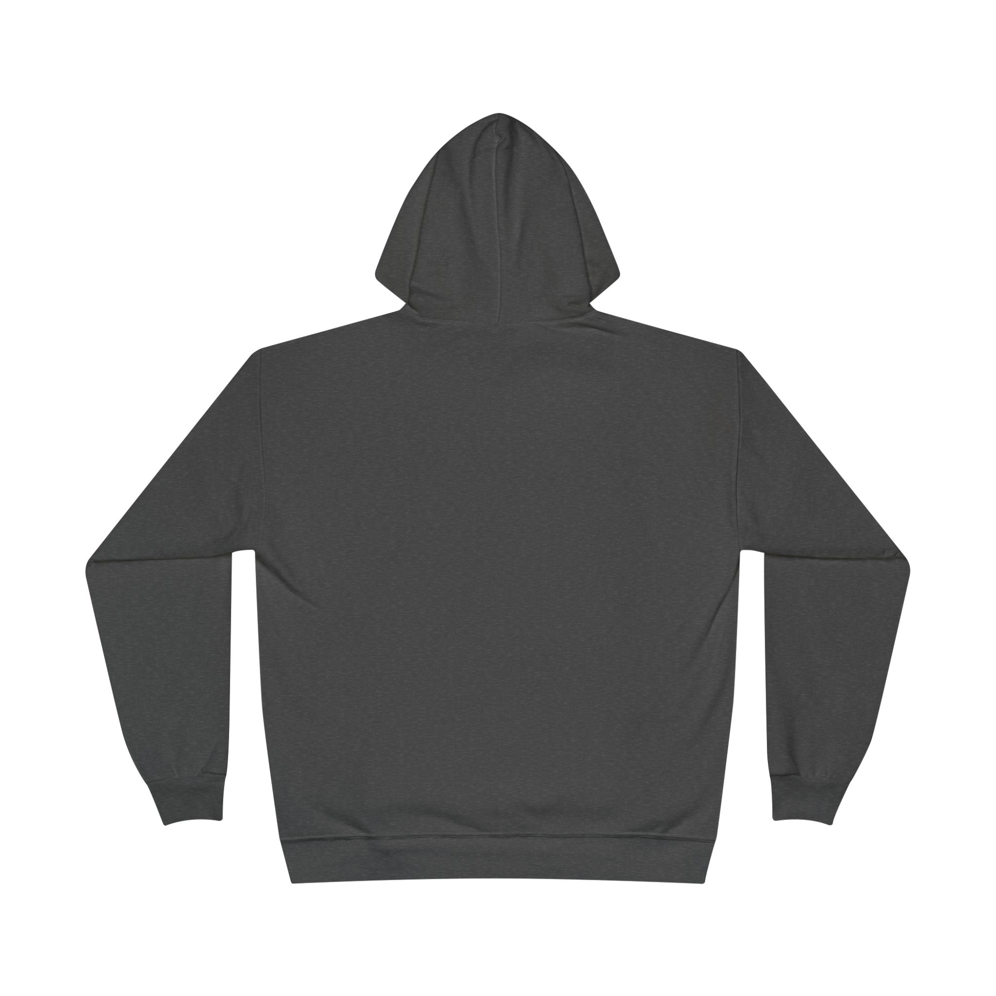 I Am Not A Reptilian Shape Shifter Hoodie – Statement Graphic Pullover