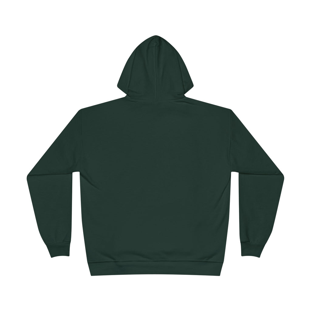 I Am Not A Reptilian Shape Shifter Hoodie – Statement Graphic Pullover