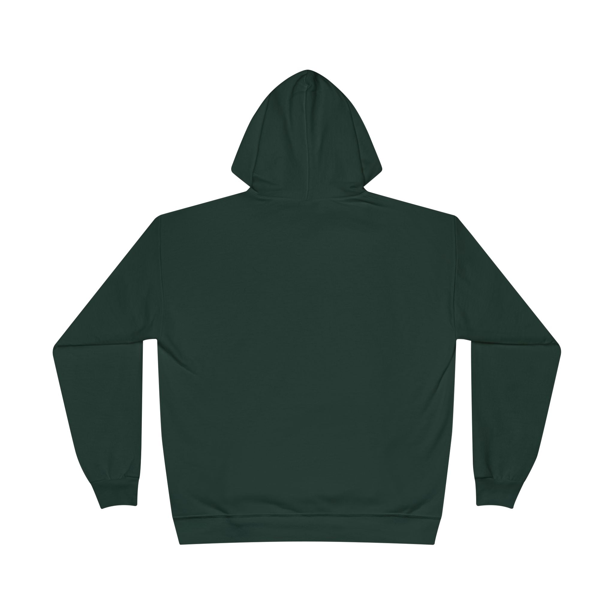I Am Not A Reptilian Shape Shifter Hoodie – Statement Graphic Pullover